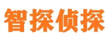 武侯市私家侦探